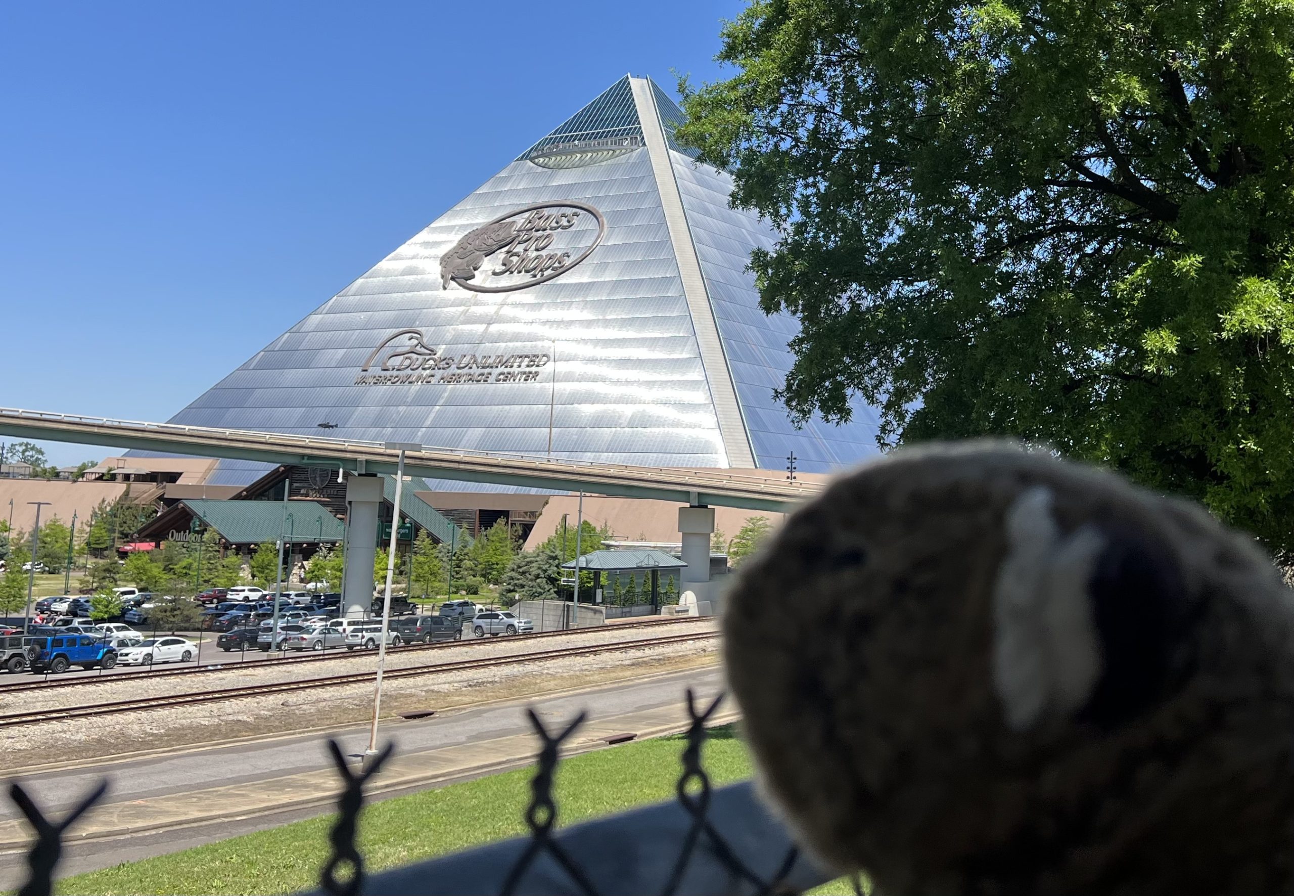 Church wants to buy Memphis Pyramid arena